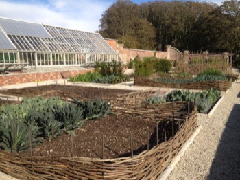 Border Edging