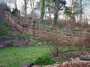 Trellis continous