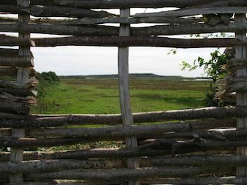 Bird Hide
